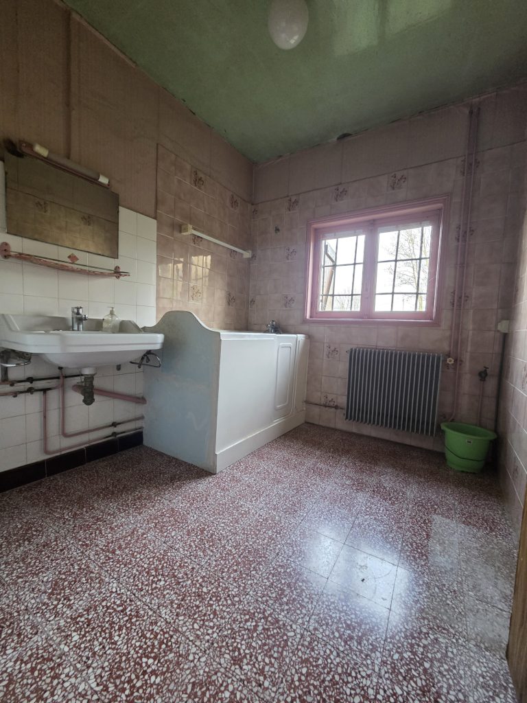 Maison T5 de 130m2 à rénover à St Agnin sur Bion