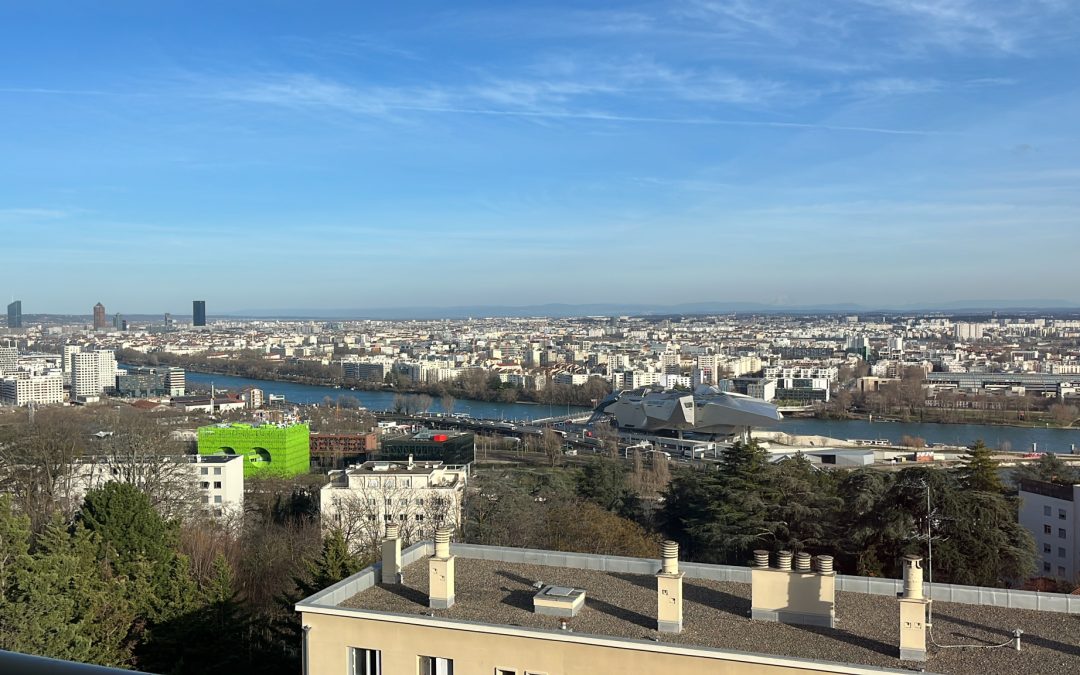 Appartement T3 lumineux   Dernier étage   La Mulatière