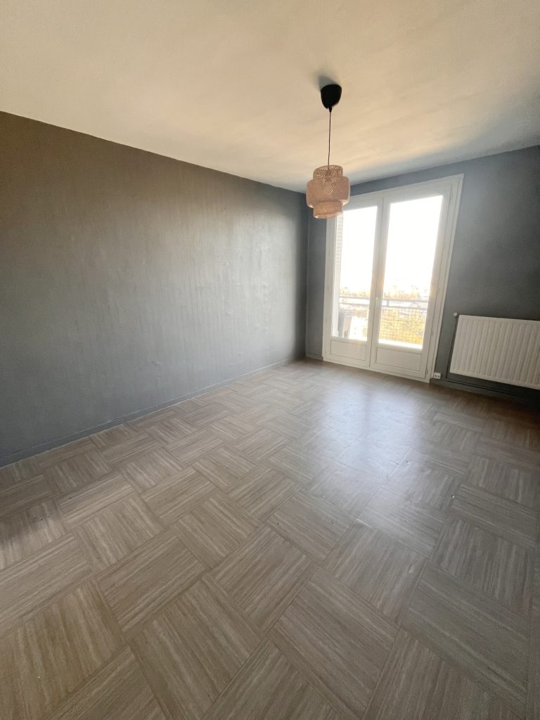 Appartement T3 lumineux   Dernier étage   La Mulatière