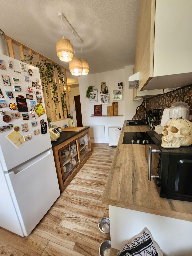 Appartement T2 centre ville en parfait état.