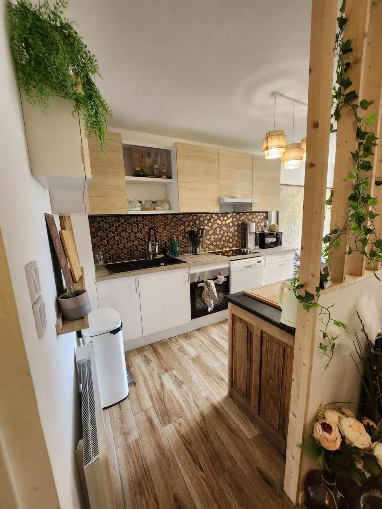 Appartement T2 centre ville en parfait état.